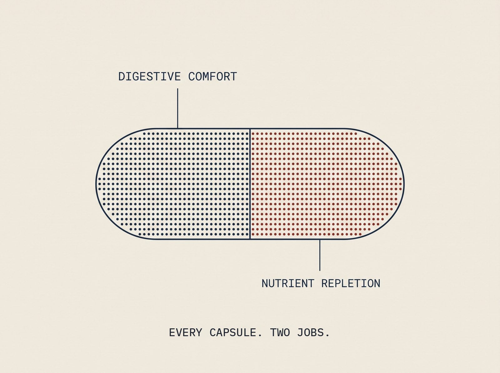 Diagram of a capsule split into two halves, one labelled digestive comfort and one labelled nutrient repletion, captioned every capsule, two jobs.